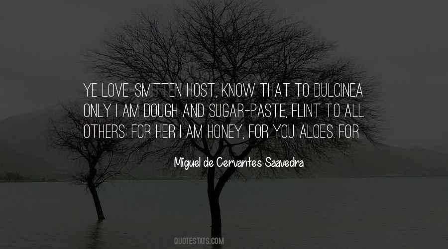 Miguel Cervantes Saavedra Quotes #167776