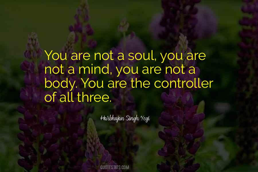 Mind Of The Soul Quotes #102144