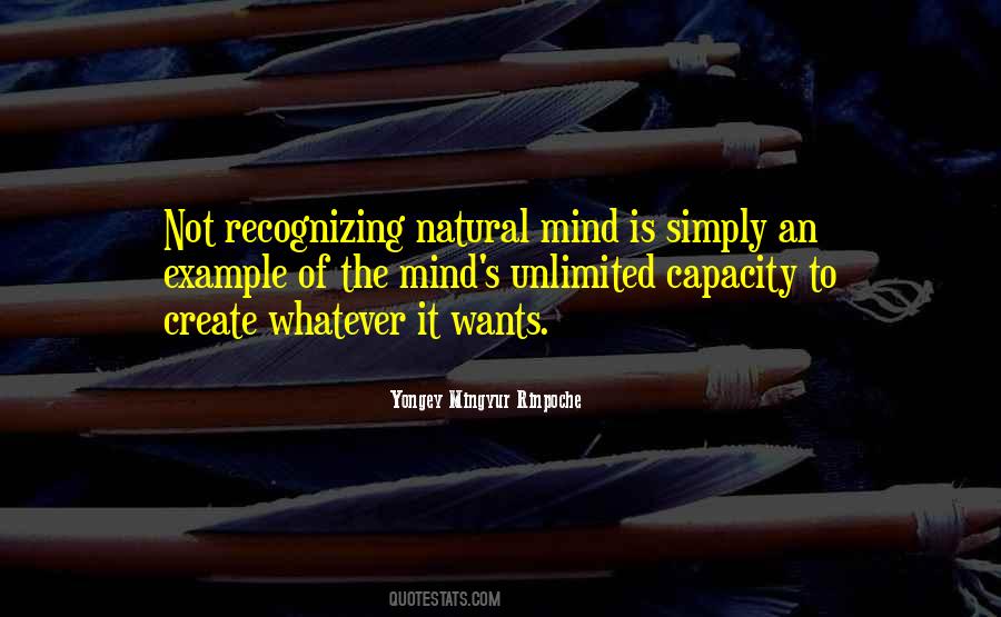 Mingyur Rinpoche Quotes #1521615
