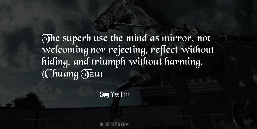 Mirror Reflect Quotes #1865568