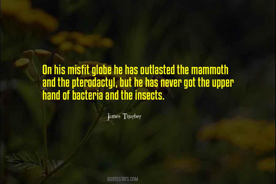 Misfit Quotes #1132892
