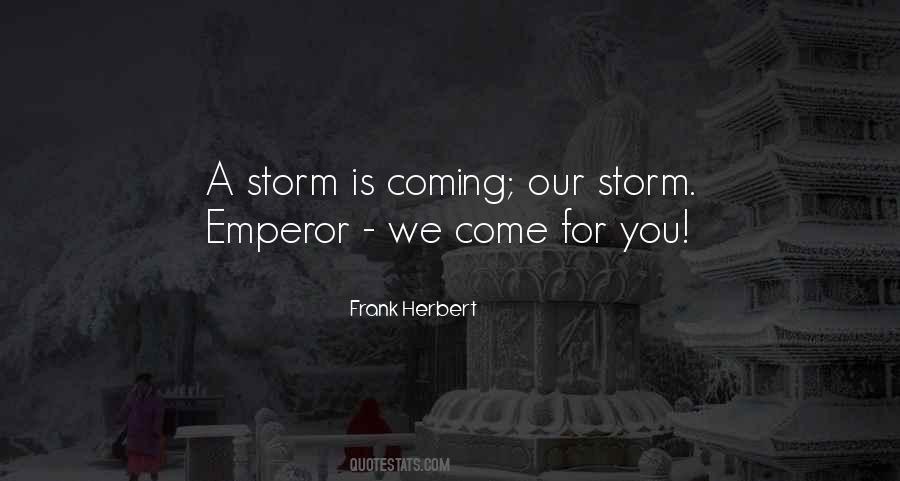 Quotes About Coming Out Of The Storm #27720