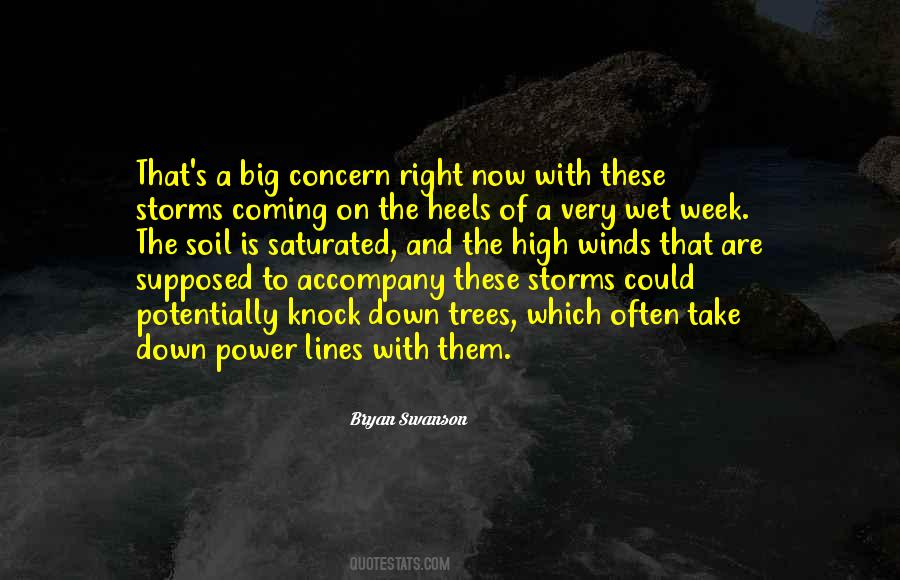 Quotes About Coming Out Of The Storm #988411