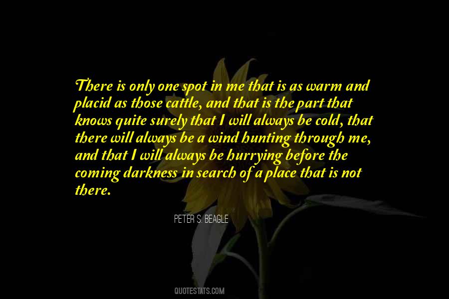 Quotes About Coming Out Of The Darkness #183576