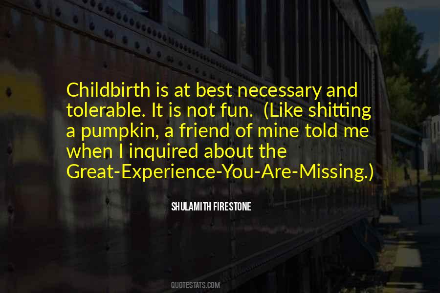 Missing The Fun Quotes #965739