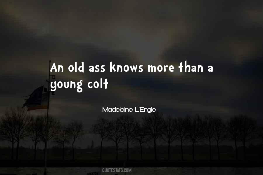 Quotes About Colt #948170