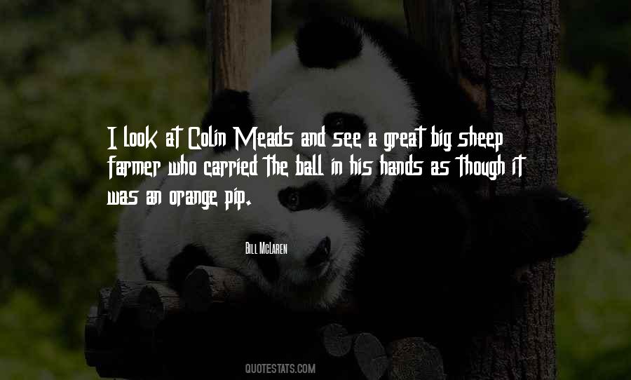 Quotes About Colin #984482