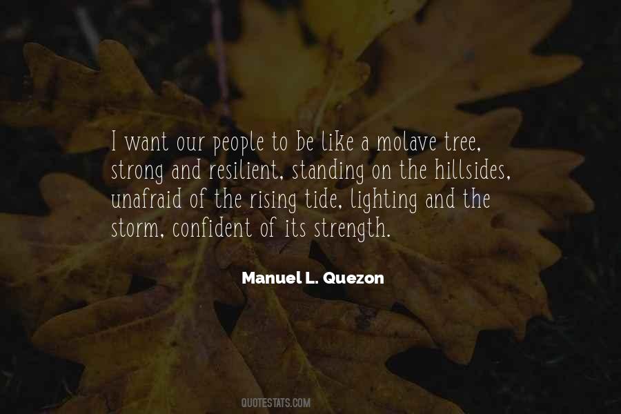 Molave Tree Quotes #965262