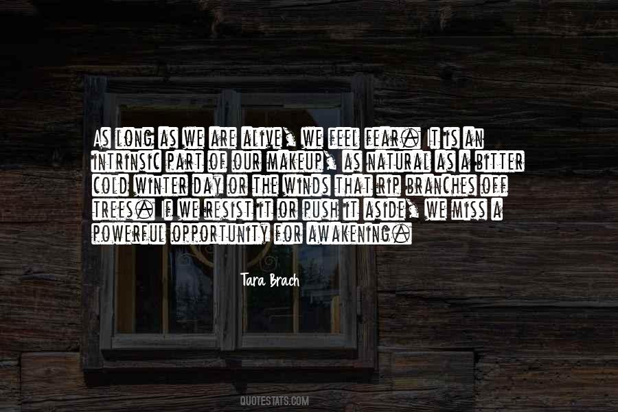 Quotes About Cold Winds #1736461