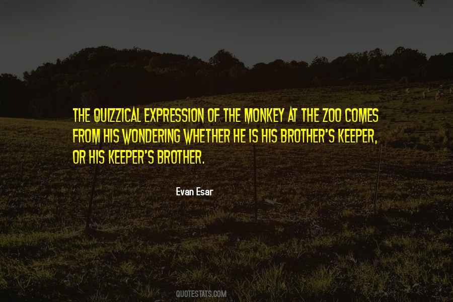 Monkey Quotes #1005580