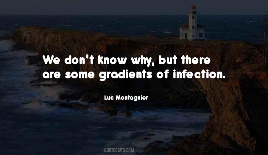 Montagnier Quotes #932553