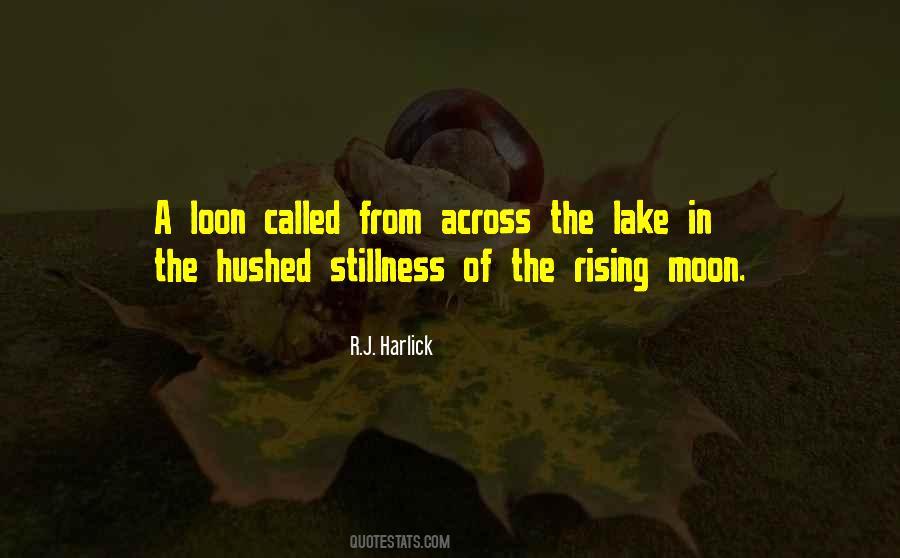 Moon Called Quotes #1181925