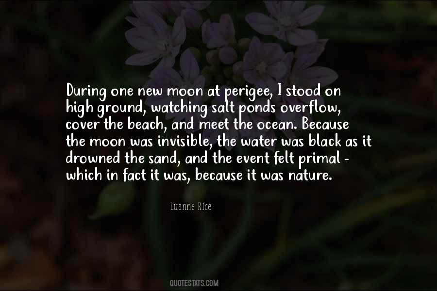 Moon Over Water Quotes #192471