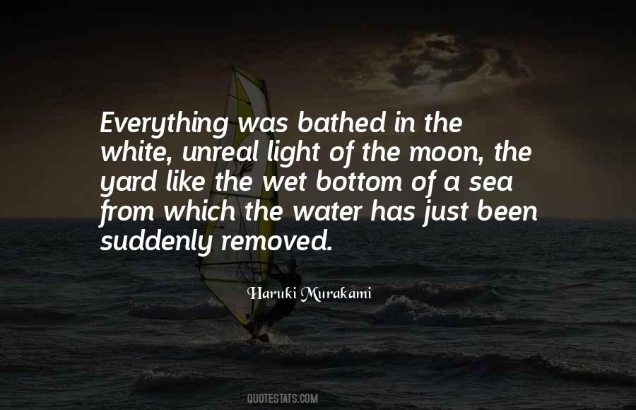 Moon Over Water Quotes #698193