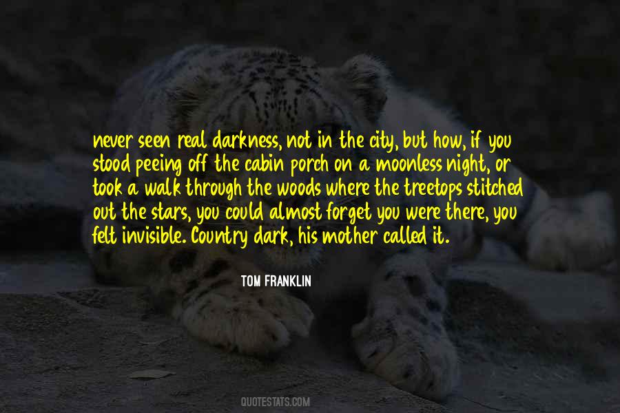 Moonless Night Quotes #152402