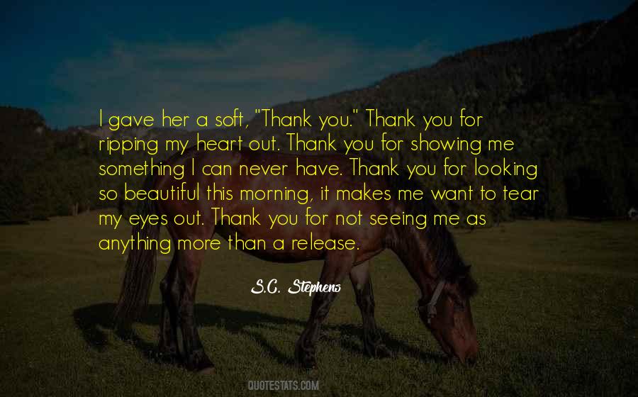 More Than Thank You Quotes #746482