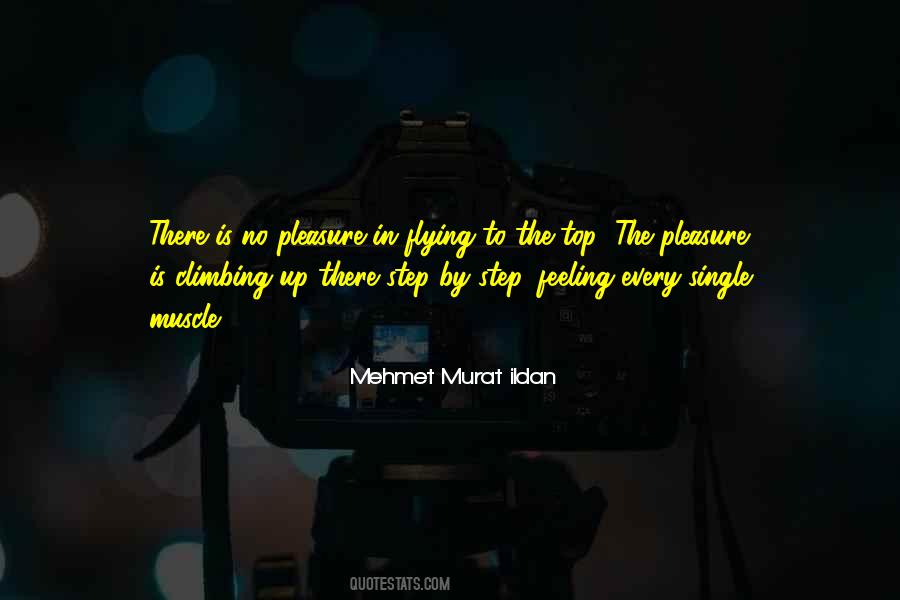 Quotes About Climbing To The Top #1291204