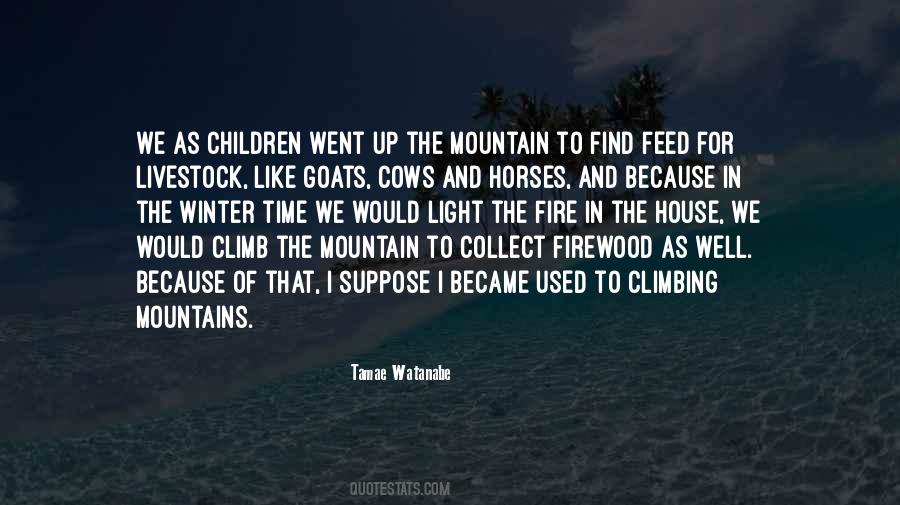 Quotes About Climbing The Mountain #1677474
