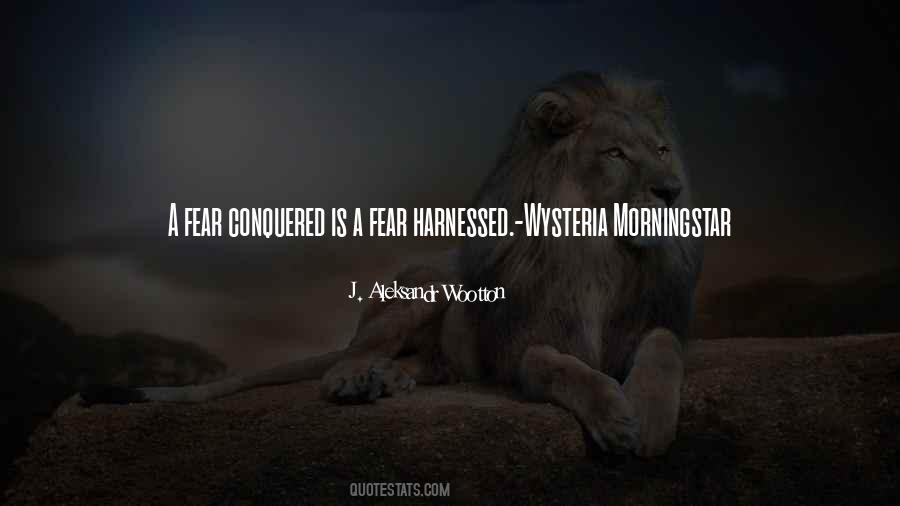 Morningstar Quotes #1046702