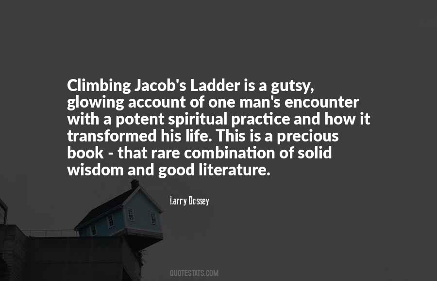 Quotes About Climbing And Life #184311