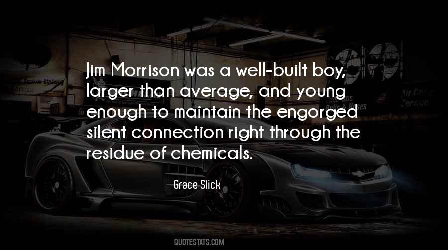 Morrison Quotes #1007130