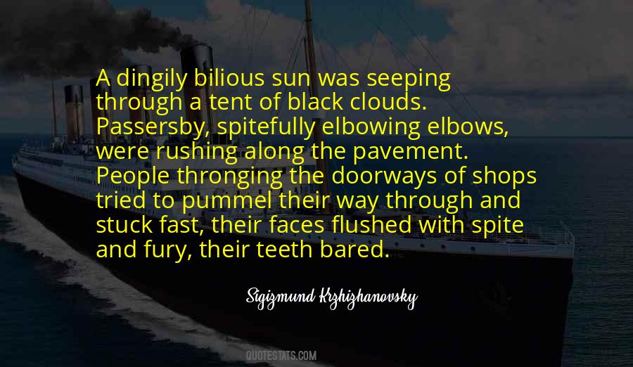 Moscow-petushki Quotes #269206