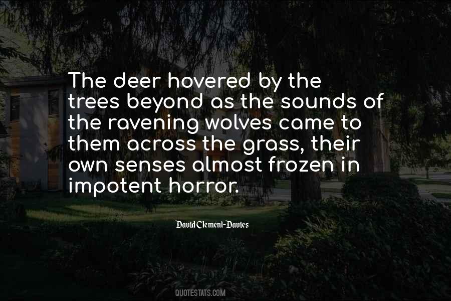 Quotes About Clement #200770