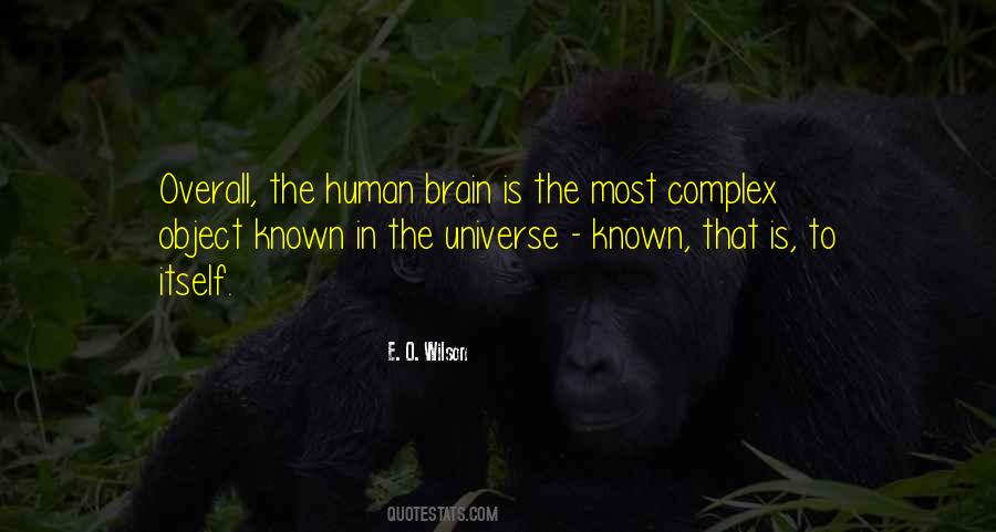 Most Complex Quotes #697225
