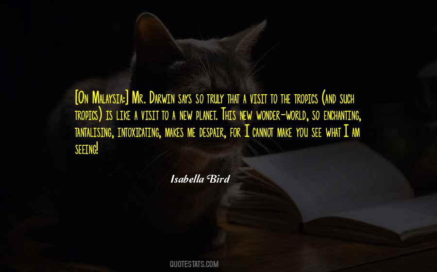 Most Enchanting Quotes #35398