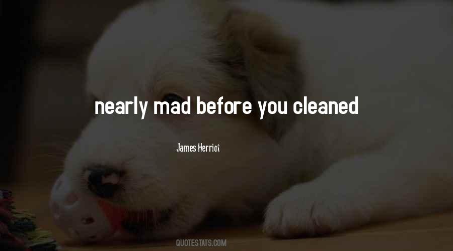 Quotes About Cleaned #1001003