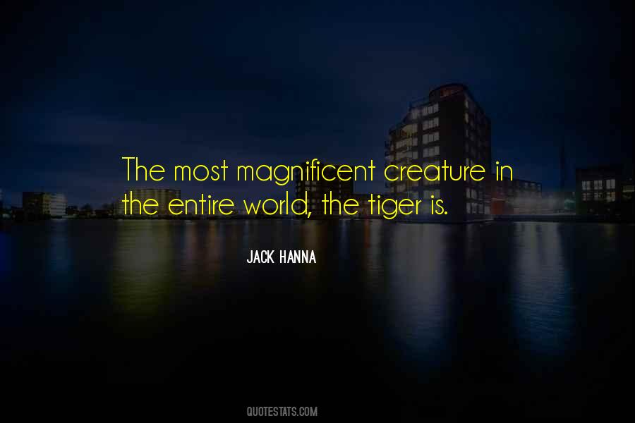 Most Magnificent Quotes #263769