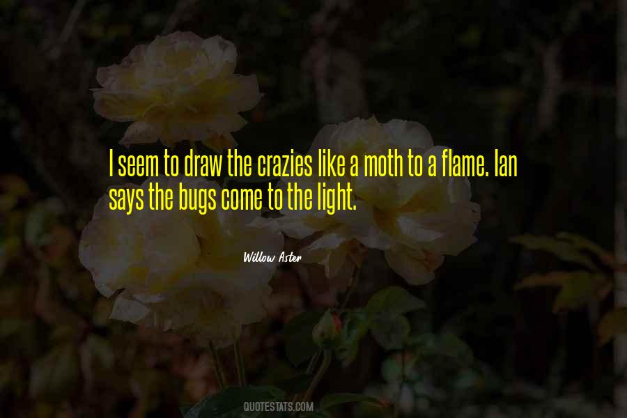 Moth Flame Quotes #512160