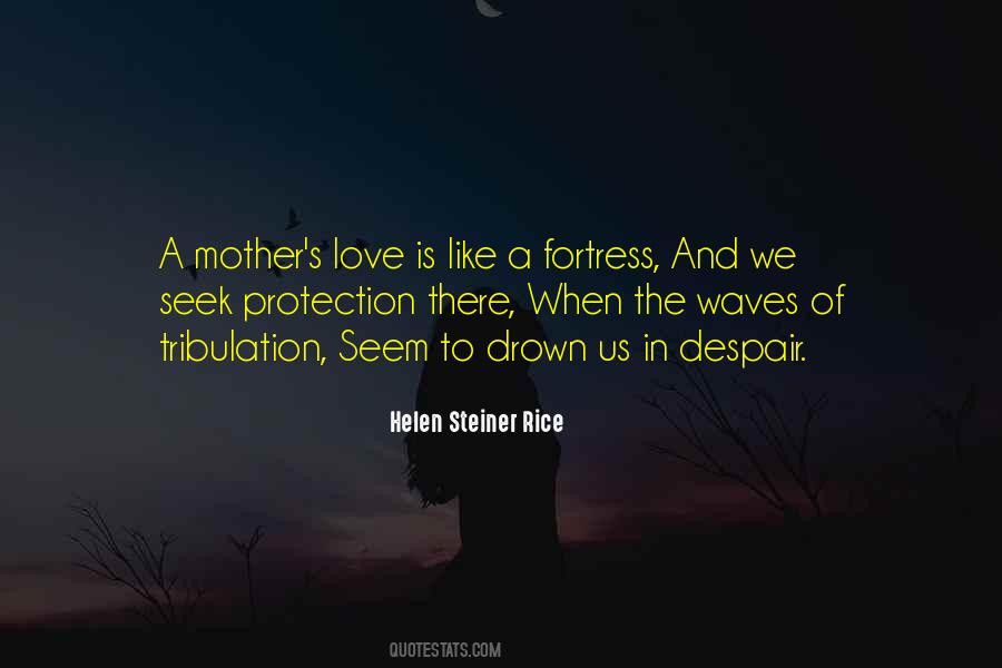 Mother's Protection Quotes #1606362