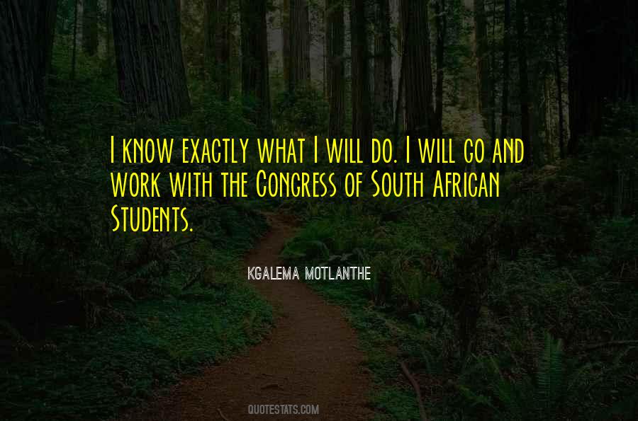 Motlanthe Quotes #170482