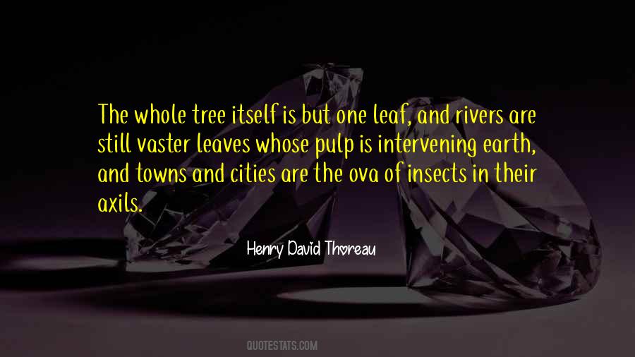 Quotes About Cities And Nature #966858