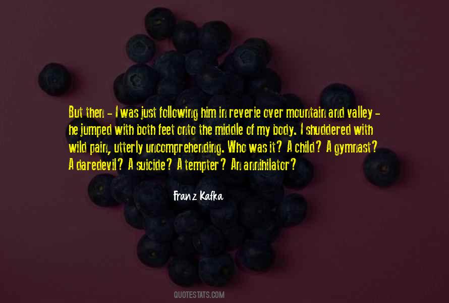Mountain And Valley Quotes #272589