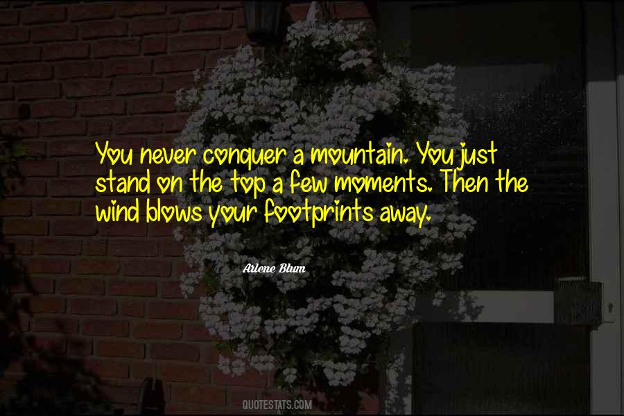 Mountain Conquer Quotes #940684