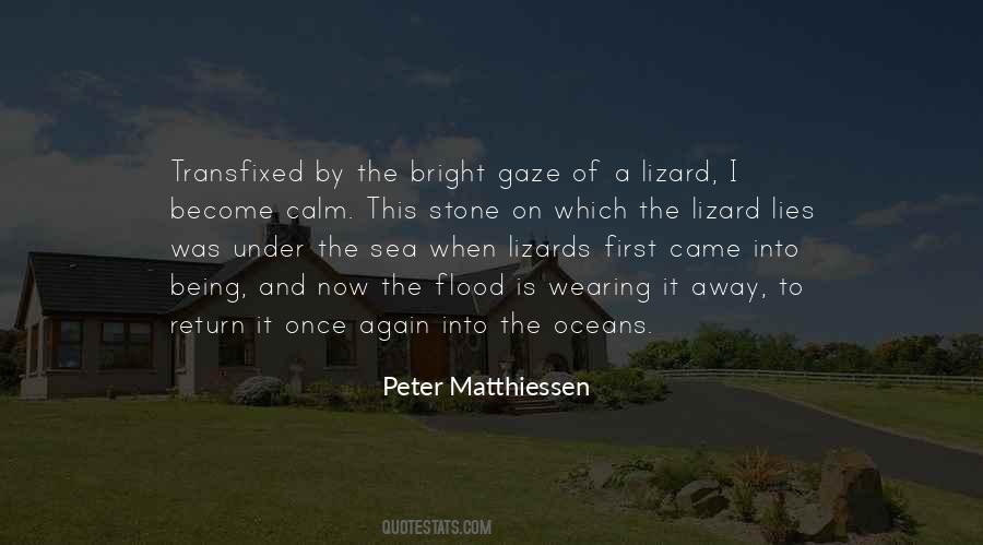 Mountains And Oceans Quotes #1178861 Mountains And Oceans Quotes #1178861