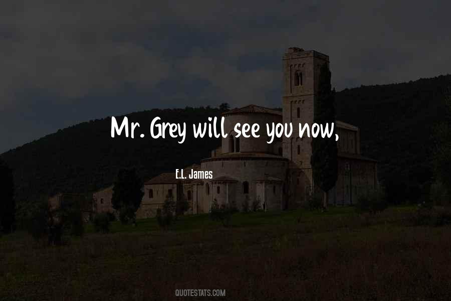 Mr Grey Quotes #1592699