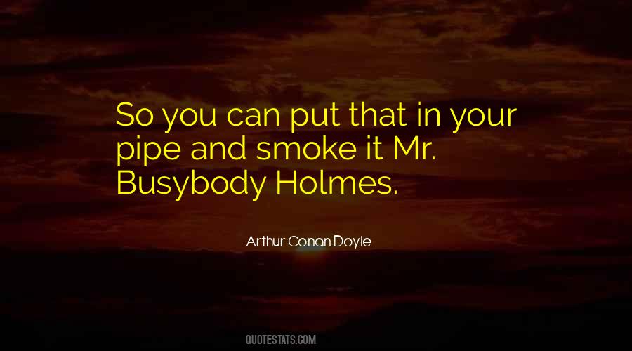 Mr Holmes Quotes #570481