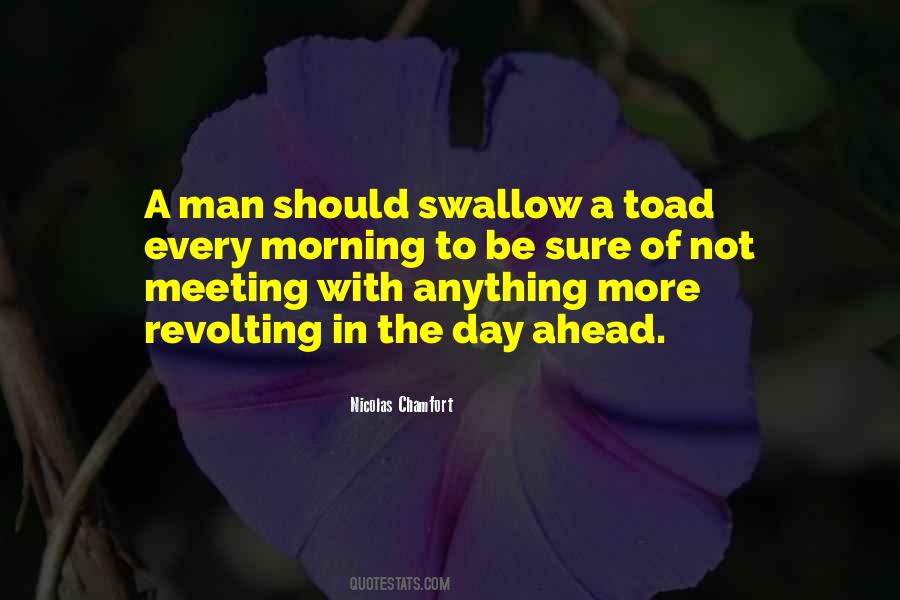 Mr Toad Quotes #4107