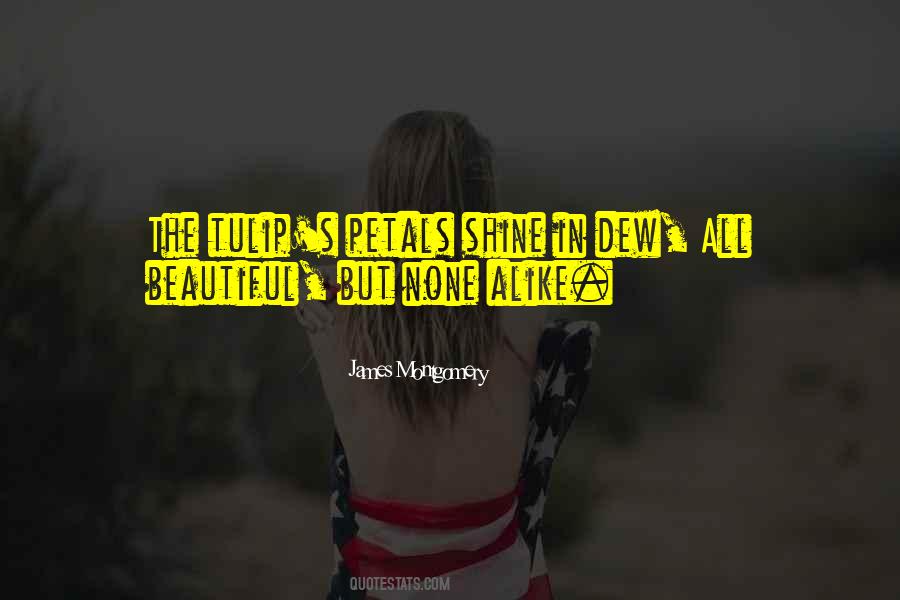 Mr Tulip Quotes #969885