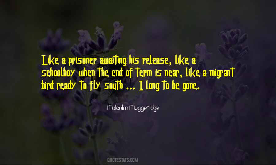 Muggeridge Quotes #598473