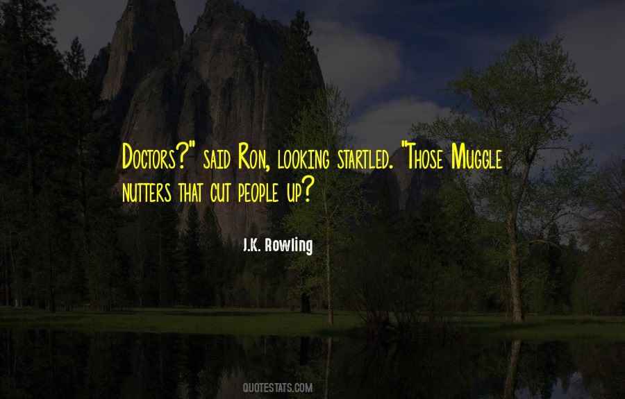 Muggle Quotes #855502