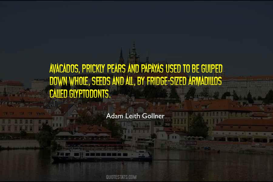 Municipal Corporation Quotes #1484956