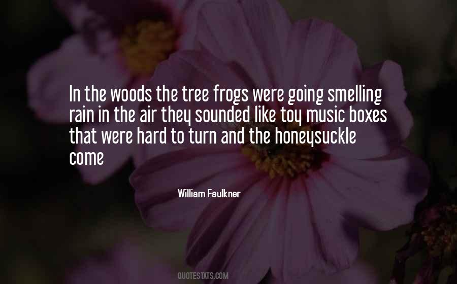 Music In The Rain Quotes #1597099