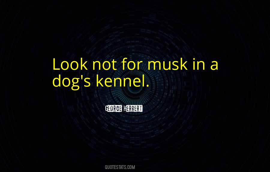 Musk Quotes #985053