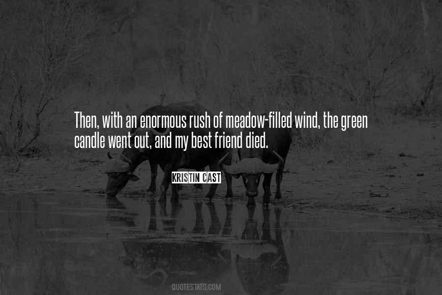 My Best Friend Died Quotes #1244248