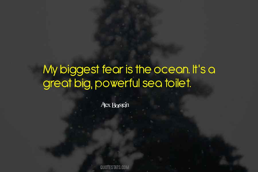 My Biggest Fear Quotes #615470