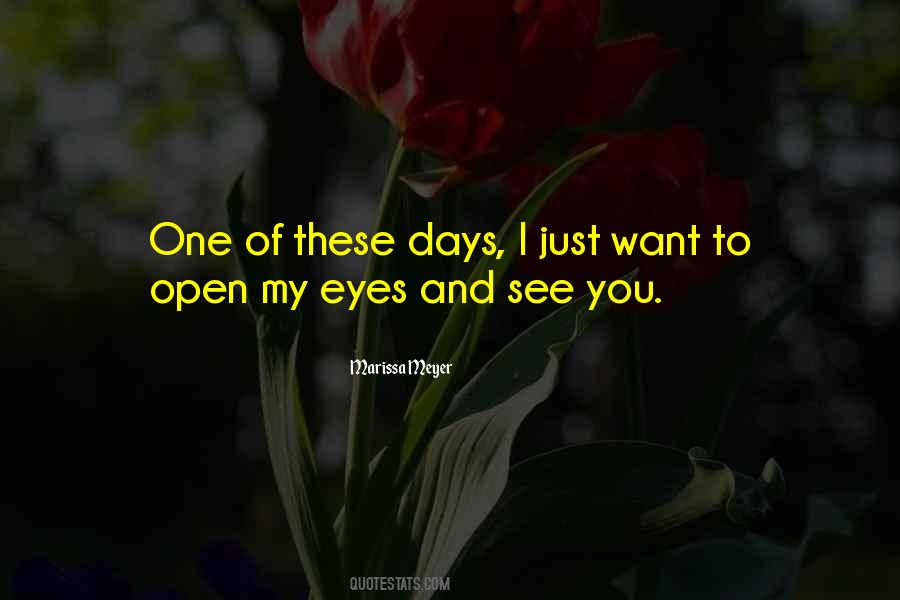 My Eyes Want To See You Quotes #888721